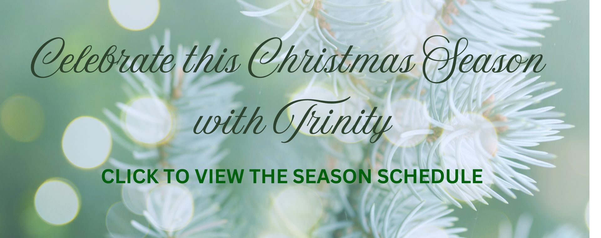 Advent at Trinity